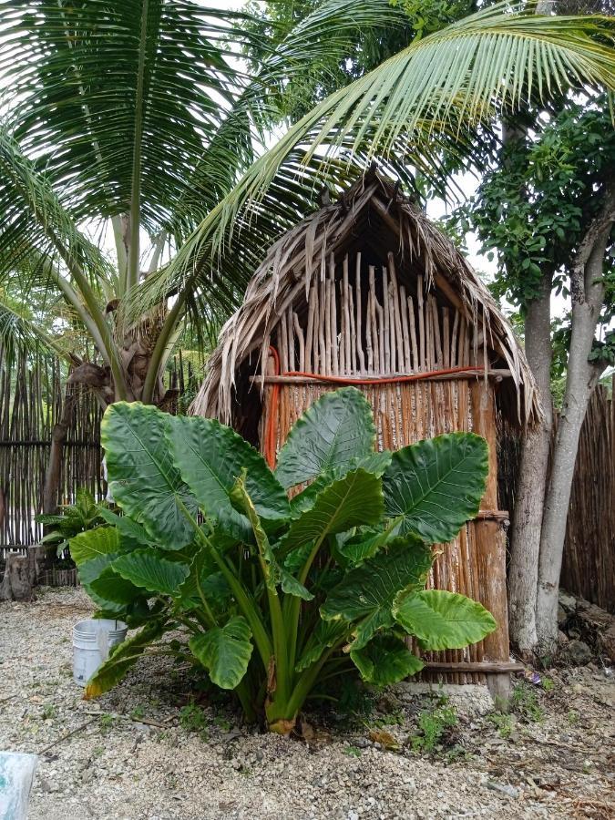 Muelle36 Hostel Bacalar Kültér fotó