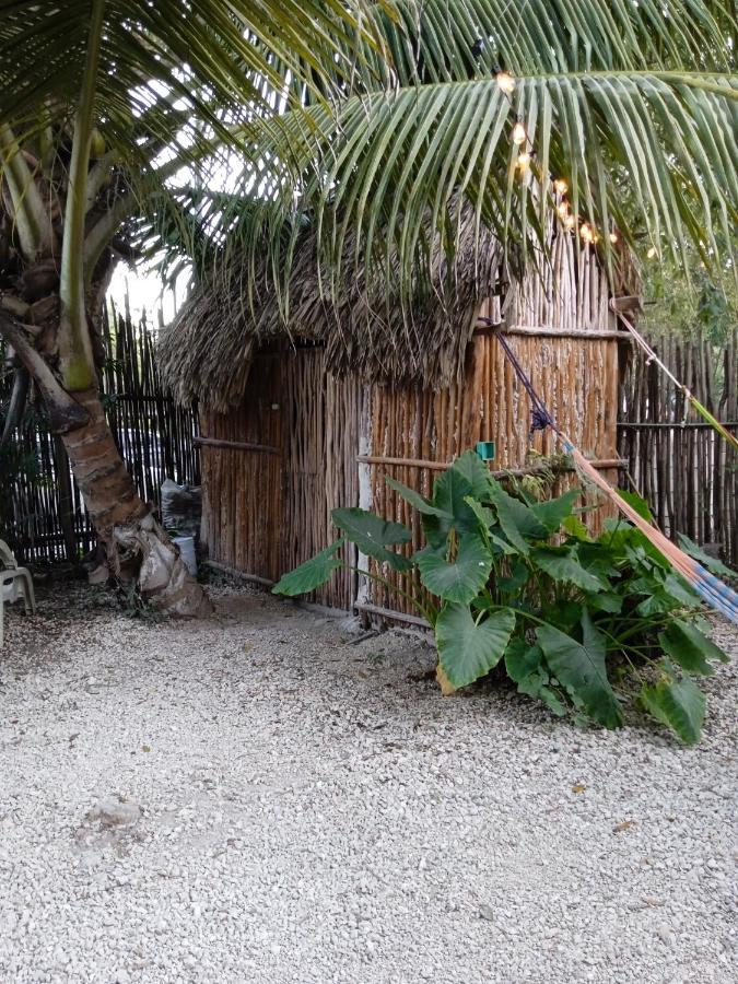 Muelle36 Hostel Bacalar Kültér fotó